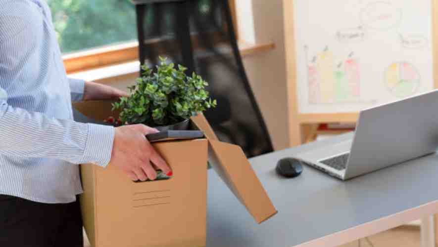 Post-Move Actions to Ensure a Roach-Free Environment When Moving