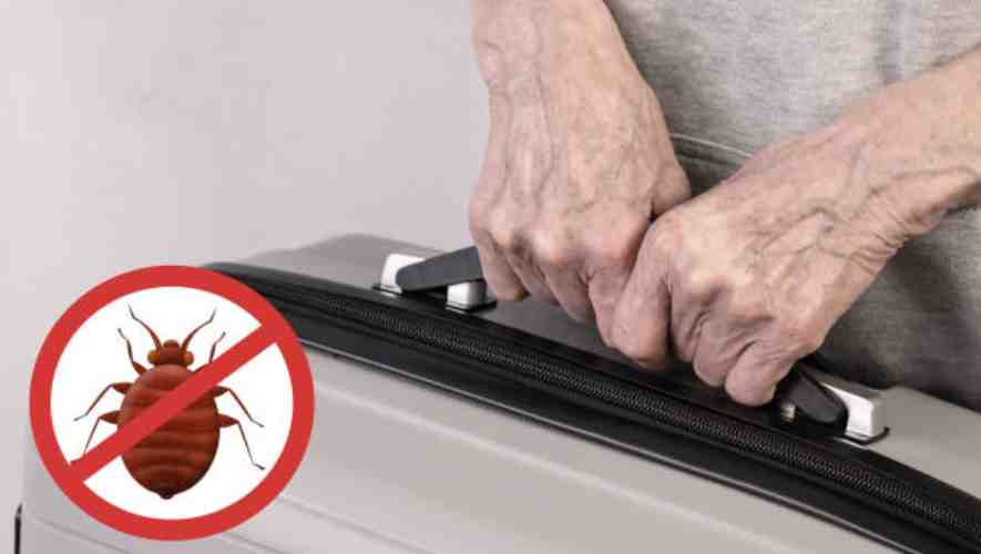 How to Avoid Bringing Roaches When Moving