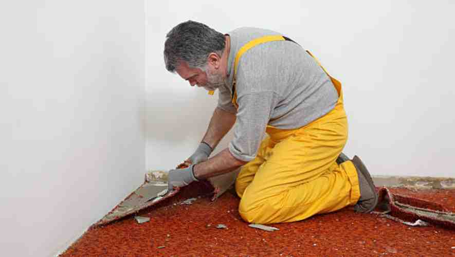 Professional vs. DIY Carpet Cleaning