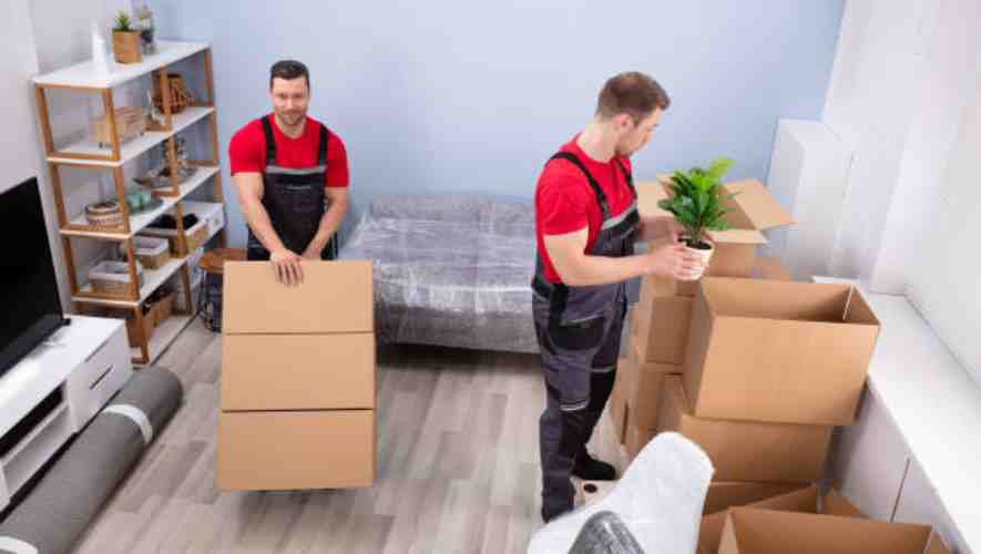 Post-Move Furniture Care and Inspection
